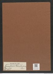 Triceratium thwaitesianum Grev. (de-Toni-Nr.: Genus 140, Species 3715) Zeichnungen Sammlung Grunow Mappe 03821 (Herbarium_W_Grunow_drawings_Folder_03821)